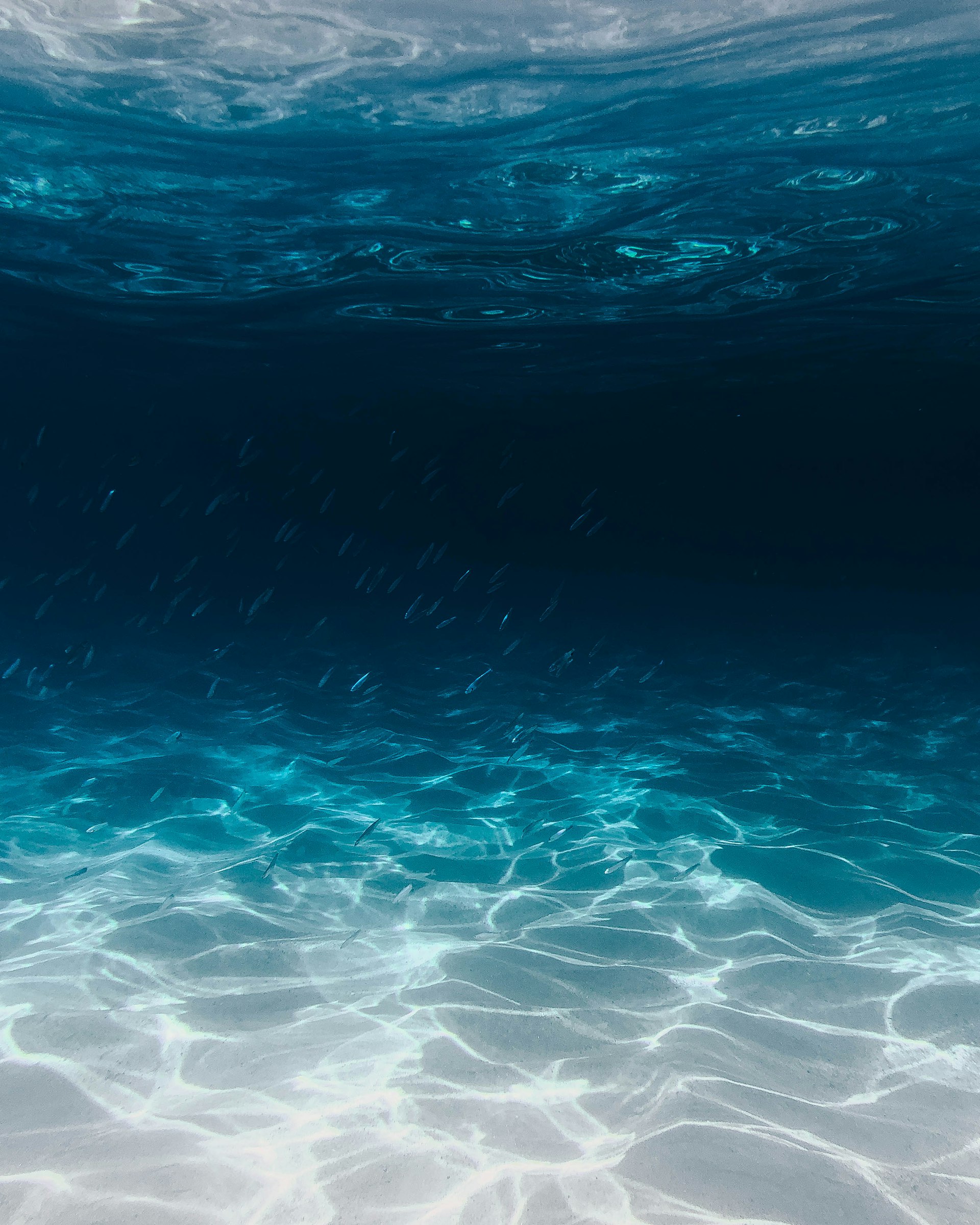 Open ocean surface